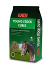 paardenvoer van GAIN Horse Feed (Youngstock Cubes)